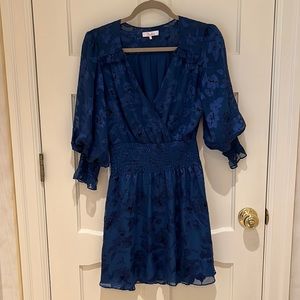 Parker Dress size 0